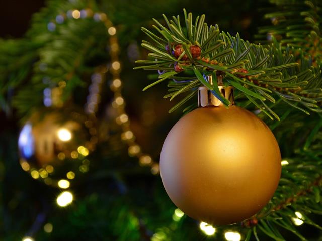 Foto per Raccolta gratuita degli alberi di Natale